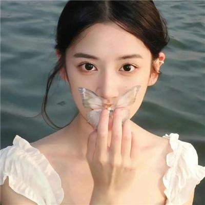 我的朋友叫哈维